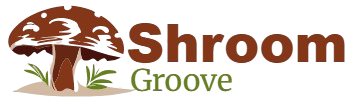 Shroom Groove